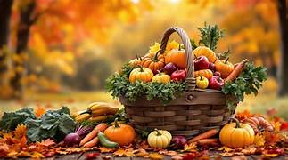 Ratatouille d&rsquo;automne